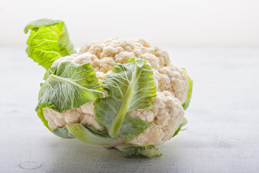 Similar image 13137808