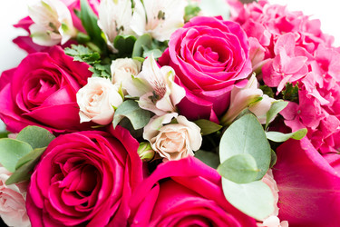 Similar image 13147986