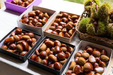 Similar image 13145478