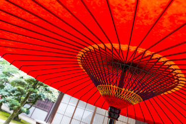 Similar image 13146666