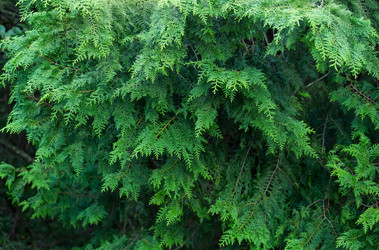 Similar image 13147888