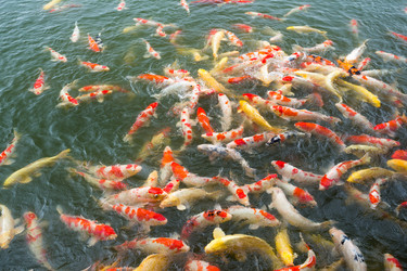 Similar image 13141753