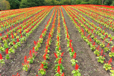 Similar image 13148543