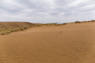 Similar image 13148562