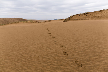 Similar image 13148842