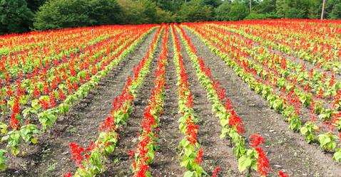 Similar image 13141772