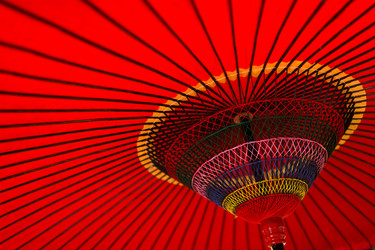 Similar image 13145399