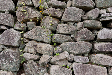 Similar image 13145553