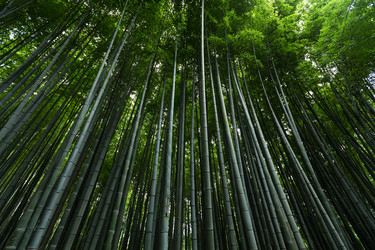 Similar image 13148942