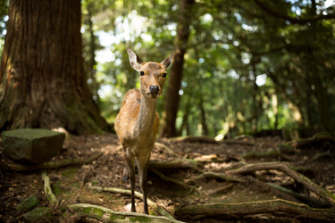 Similar image 13141721