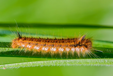 Similar image 13144704