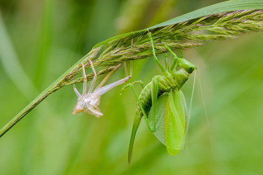 Similar image 13144705