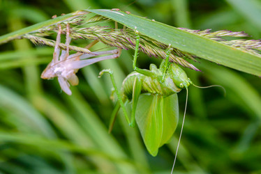 Similar image 13144706