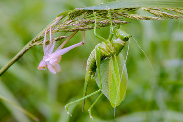 Similar image 13144707