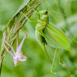 Similar image 13144708