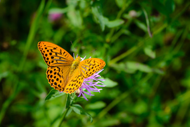 Similar image 13144709