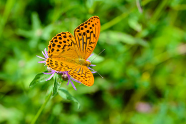 Similar image 13144712