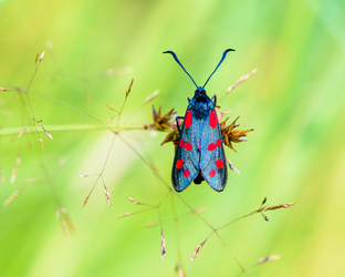 Similar image 13144714