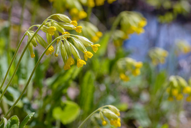 Similar image 13144715