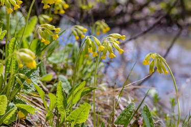 Similar image 13144716