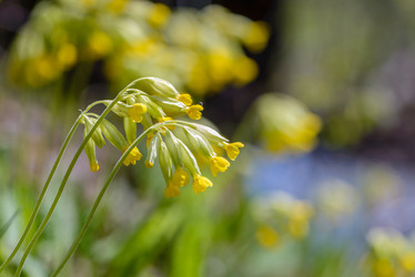 Similar image 13144717