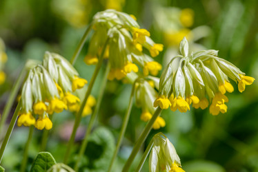 Similar image 13144718