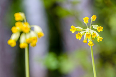 Similar image 13144720