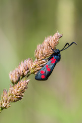 Similar image 13144721