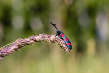 Similar image 13144722