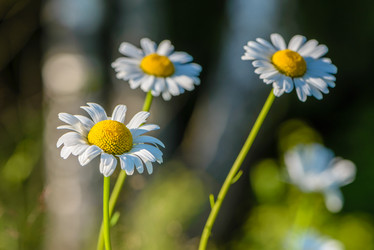 Similar image 13144723