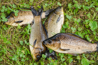 Similar image 13140289