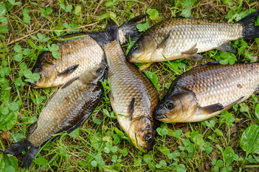 Similar image 13140290