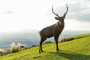 Similar image 13145483