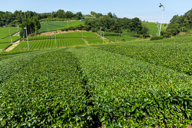 Similar image 13147657