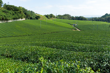 Similar image 13147891