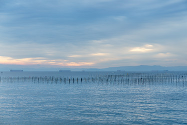 Similar image 13148493