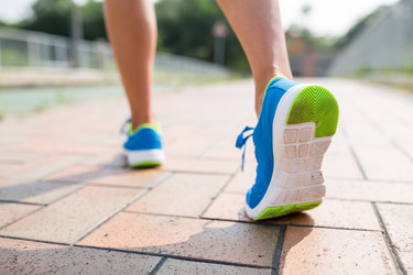 Similar image 13147795