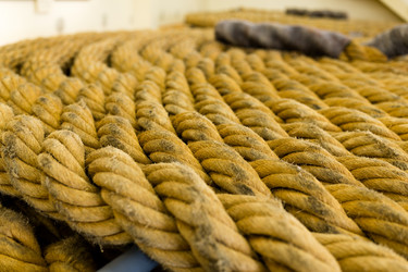 Similar image 13148373