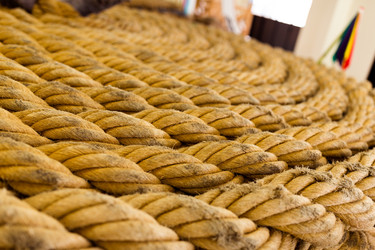 Similar image 13148389