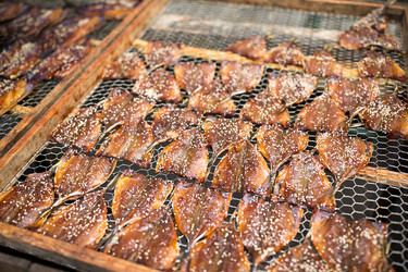 Similar image 13148510