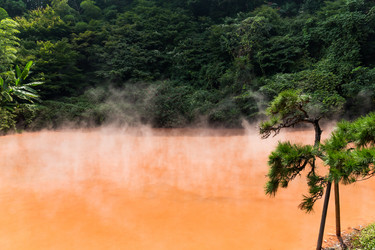 Similar image 13148530