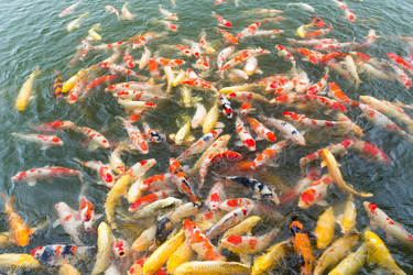 Similar image 13145422