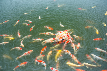 Similar image 13146755