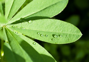 Similar image 13144320