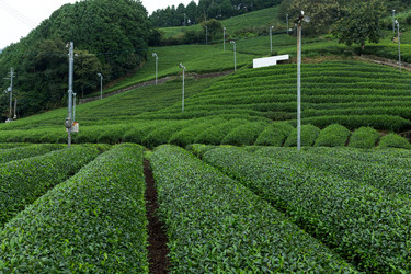 Similar image 13148512