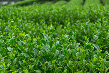 Similar image 13148569