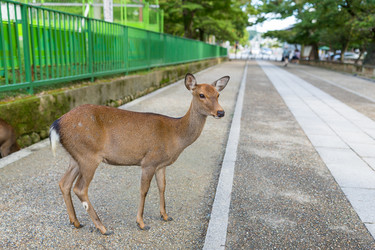 Similar image 13148789