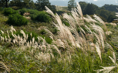 Similar image 13148831