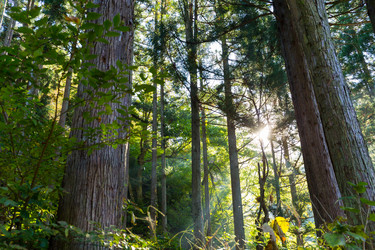 Similar image 13147704