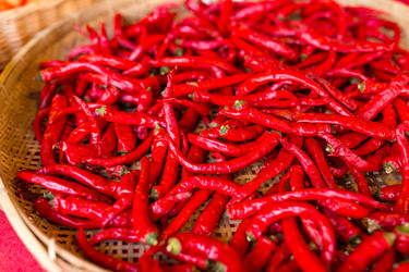 Similar image 13148871